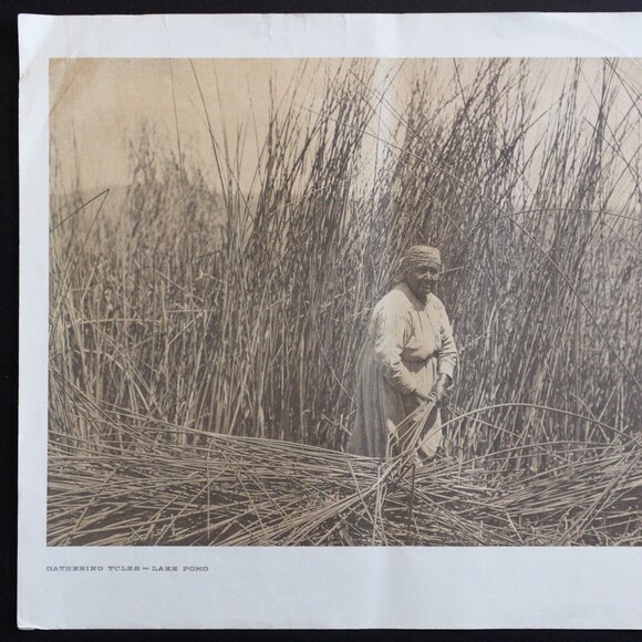 GATHERING TULES - LAKE POMO #150 Edward Sheriff Curtis Print - Picture 10 of 16